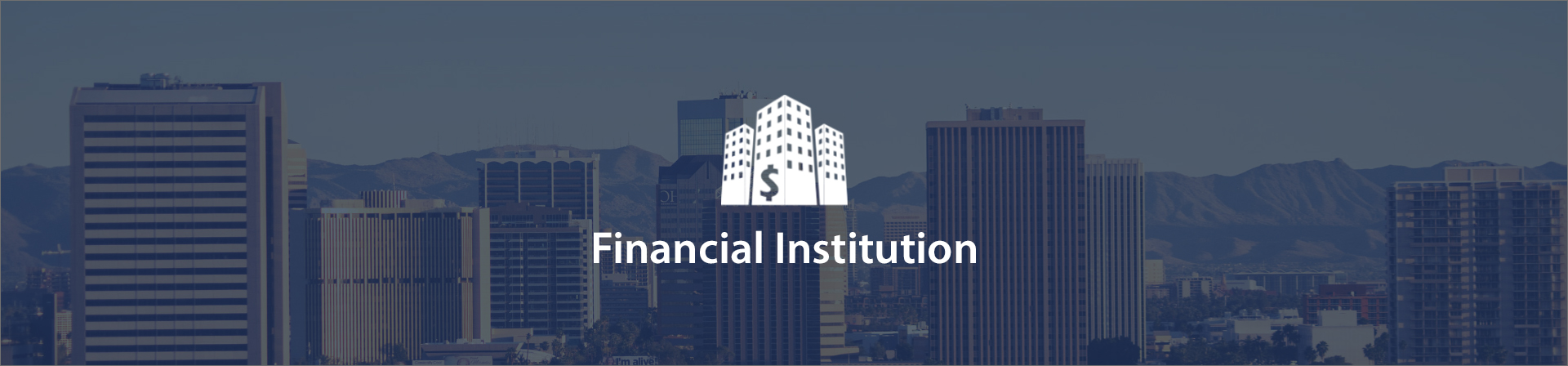 Financial Institution banner