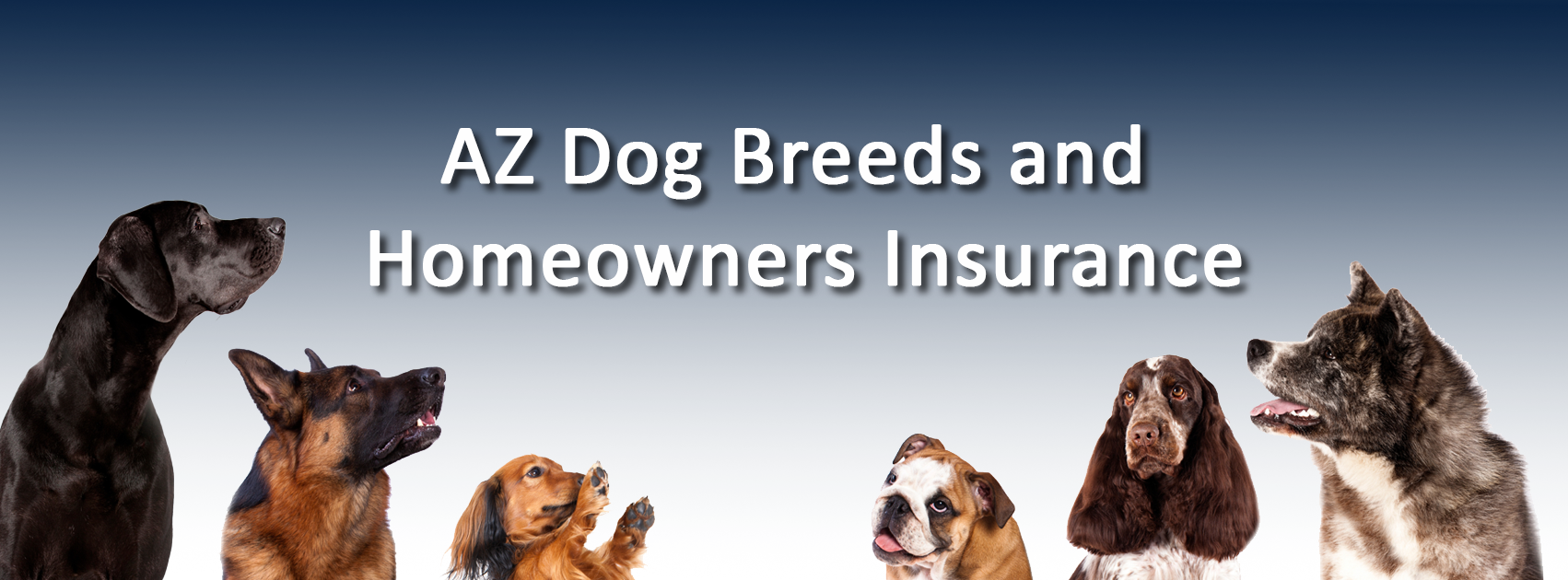 Homeowners insurance and dogs