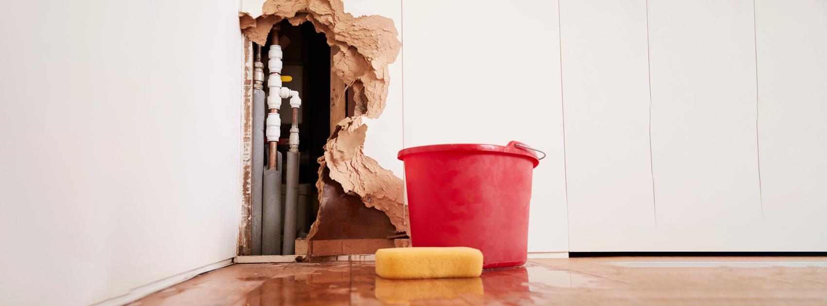 Water Damage, Homeowners, Renters Insurance