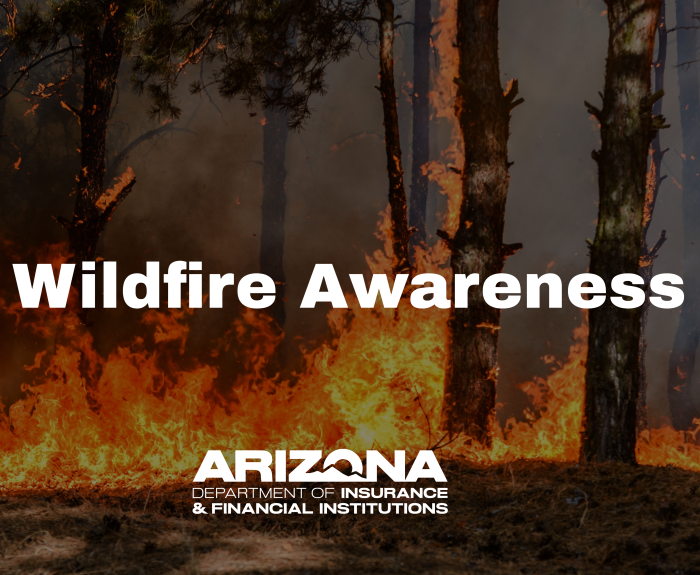 Wildfire