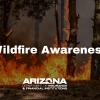 Wildfire