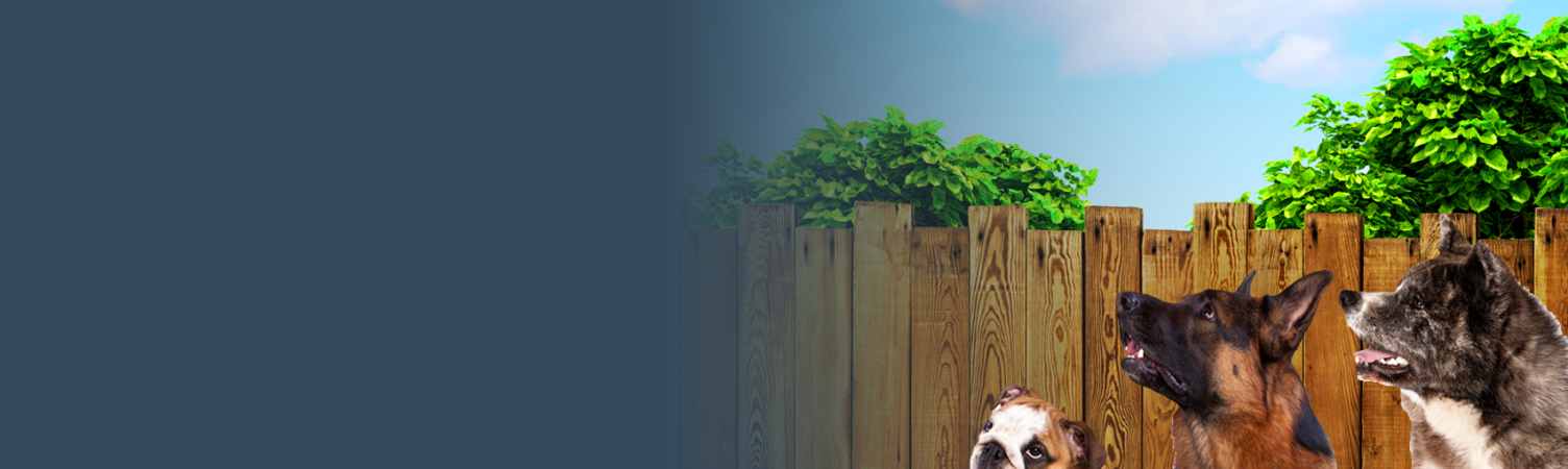 Dog Breeds and Homeowners