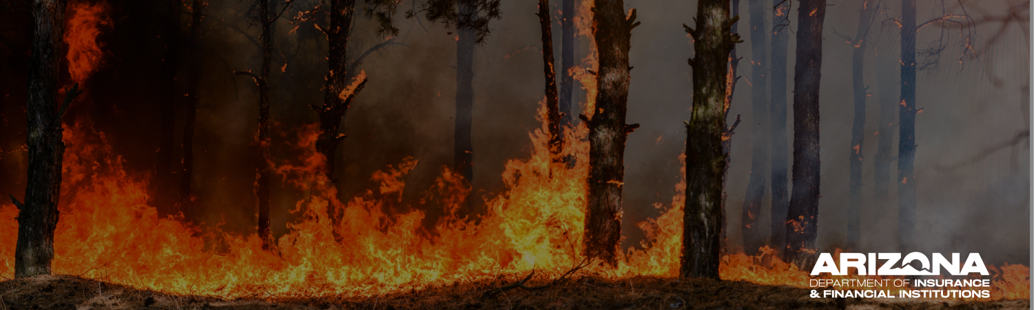 Wildfire